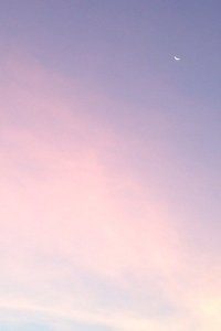 拜仁战胜多特蒙德，莱万多夫斯基锁胜局