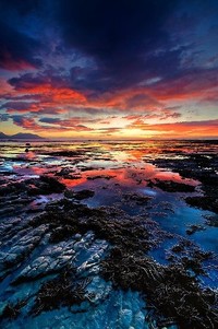 古巴拳击选手激战胜利，意大利选手惨遭淘汰