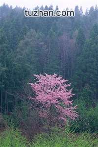 葡萄牙不敌最弱球队出线堪忧