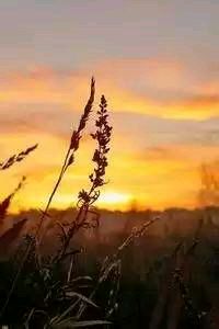 纽卡斯尔联队英雄出征，掀起狂潮