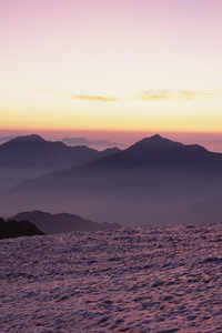 古巴拳击选手激战胜利，意大利选手惨遭淘汰