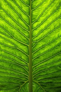 太阳队经历惨败，球员表现备受争议